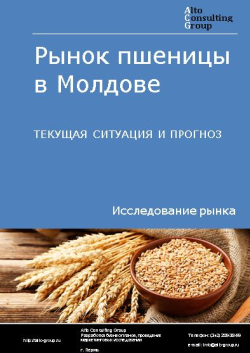 Рынок пшеницы в Молдове. Текущая ситуация и прогноз 2024-2028 гг.