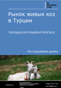 Анализ рынка живых коз в Турции. Текущая ситуация и прогноз 2024-2028 гг.