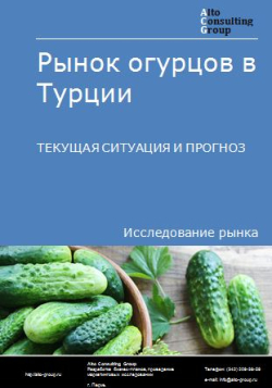 Рынок огурцов в Турции. Текущая ситуация и прогноз 2024-2028 гг.