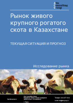 Рынок живого крупного рогатого скота в Казахстане. Текущая ситуация и прогноз 2023-2027 гг.