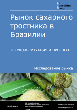 Рынок сахарного тростника в Бразилии. Текущая ситуация и прогноз 2024-2028 гг.