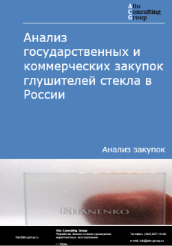 Обложка исследования: Анализ закупок глушителей стекла в России в 2024 г.