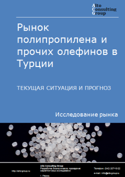 Рынок полипропилена и прочих олефинов в Турции. Текущая ситуация и прогноз 2024-2028 гг.