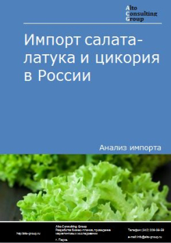 Анализ импорта салата-латук и цикория в России в 2020-2024 гг.