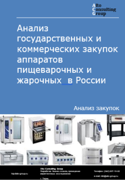 Анализ государственных и коммерческих закупок аппаратов пищеварочных и жарочных в России в 2024 г.