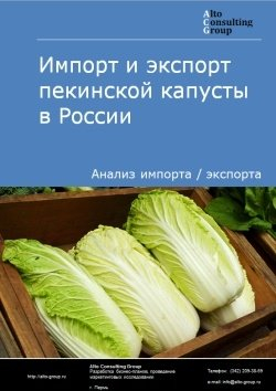 Импорт и экспорт пекинской капусты в России в 2020-2024 гг.