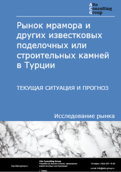 Обложка отчета: Анализ рынка мрамора и других известковых поделочных или строительных камней в Турции. Текущая ситуация и прогноз 2025-2029 гг.