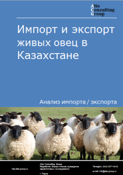 Анализ импорта и экспорта живых овец в Казахстане в 2019-2023 гг.