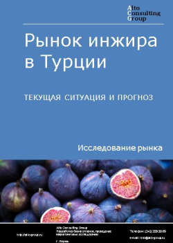 Обложка исследования: Анализ рынка инжира в Турции. Текущая ситуация и прогноз 2024-2028 гг.