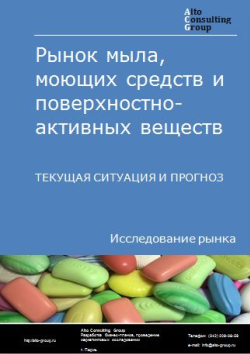 Обложка исследования: Анализ рынка мыла, моющих средств и поверхностно-активных веществ в России. Текущая ситуация и прогноз 2024-2028 гг.