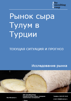 Обложка отчета: Анализ рынка сыра Тулум в Турции. Текущая ситуация и прогноз 2025-2029 гг.