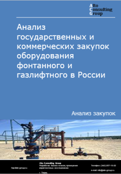 Анализ государственных и коммерческих закупок оборудования фонтанного и газлифтного в России в 2025 г.