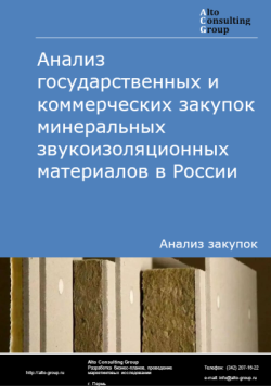 Анализ государственных и коммерческих закупок минеральных звукоизоляционных материалов в России в 2024 г.