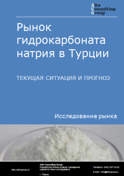 Обложка Анализ рынка гидрокарбоната натрия в Турции. Текущая ситуация и прогноз 2024-2028 гг.