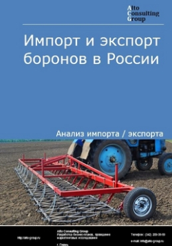 Импорт и экспорт боронов в России в 2019 г.
