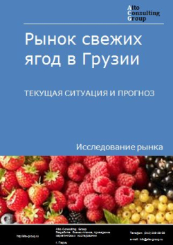 Рынок свежих ягод в Грузии. Текущая ситуация и прогноз 2024-2028 гг.