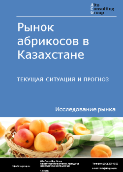 Рынок абрикосов в Казахстане. Текущая ситуация и прогноз 2023-2027 гг.