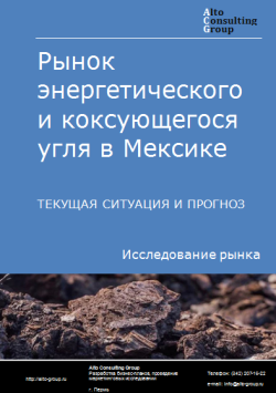 Рынок энергетического и коксующегося угля в Мексике. Текущая ситуация и прогноз 2024-2028 гг.