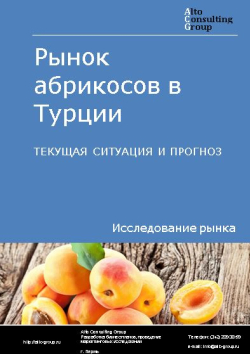 Рынок абрикосов в Турции. Текущая ситуация и прогноз 2024-2028 гг.