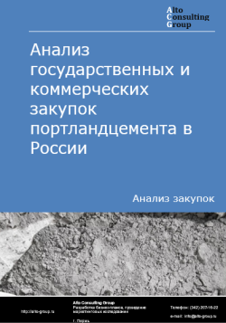 Анализ государственных и коммерческих закупок портландцемента в России в 2024 г.