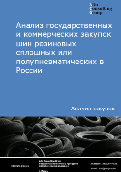 Анализ государственных и коммерческих закупок шин резиновых сплошных или полупневматических в России в 2024 г.