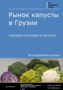 Обложка исследования: Анализ рынка капусты в Грузии. Текущая ситуация и прогноз 2024-2028 гг.