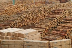 Объем производства лесоматериалов в Сибирском ФО увеличился на +5,8% в 2018 году