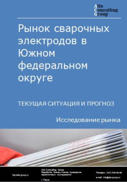 Обложка исследования: Анализ рынка сварочных электродов в Южном ФО. Текущая ситуация и прогноз 2024-2028 гг.