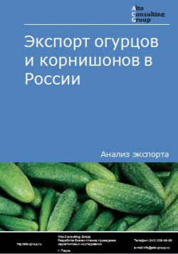 Экспорт огурцов и корнишонов в России в 2020-2024 гг.