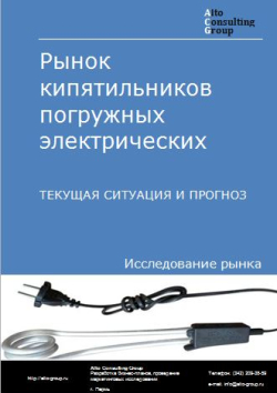 Рынок кипятильников погружных электрических в России. Текущая ситуация и прогноз 2024-2028 гг.