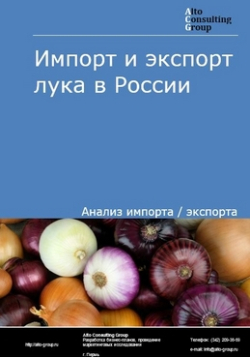 Импорт и экспорт лука в России в 2020-2024 гг.