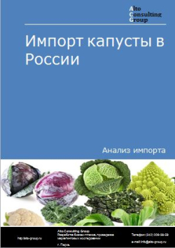 Импорт капусты в России в 2020-2024 гг.