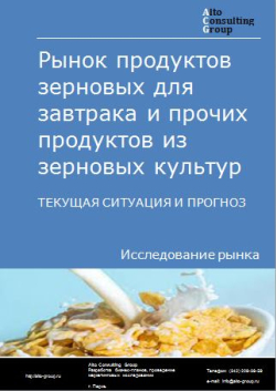 Обложка Анализ рынка продуктов зерновых для завтрака и прочих продуктов из зерновых культур в РФ. Текущая ситуация и прогноз 2024-2028 гг.