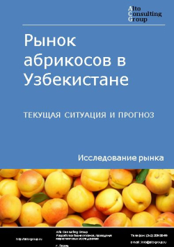 Рынок абрикосов в Узбекистане. Текущая ситуация и прогноз 2022-2026 гг.