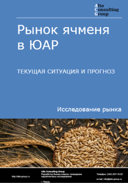 Обложка исследования: Анализ рынка пивоваренного ячменя в ЮАР. Текущая ситуация и прогноз 2024-2028 гг.