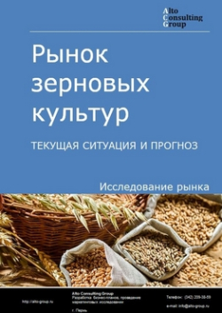 Рынок зерновых культур в России. Текущая ситуация и прогноз 2020-2024 гг.