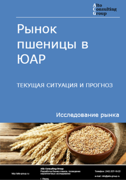 Обложка исследования: Анализ рынка пшеницы в ЮАР. Текущая ситуация и прогноз 2024-2028 гг.