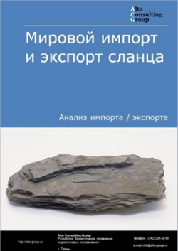 Обложка Анализ мирового импорта и экспорта сланца в 2019-2023 гг.