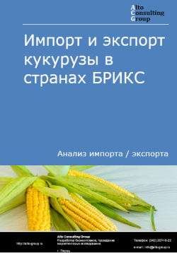 Импорт и экспорт кукурузы в странах БРИКС в 2020-2024 гг.