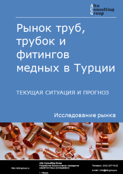 Обложка Анализ рынка труб, трубок и фитингов медных в Турции. Текущая ситуация и прогноз 2024-2028 гг.