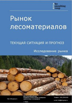 Рынок лесоматериалов в России. Текущая ситуация и прогноз 2020-2024 гг.