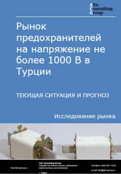 Анализ рынка предохранителей на напряжение не более 1000 В в Турции. Текущая ситуация и прогноз 2024-2028 гг.