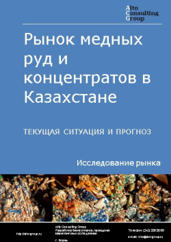 Обложка Анализ рынка медных руд и концентратов в Казахстане. Текущая ситуация и прогноз 2024-2028 гг.