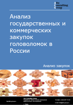 Анализ государственных и коммерческих закупок головоломок в России в 2024 г.