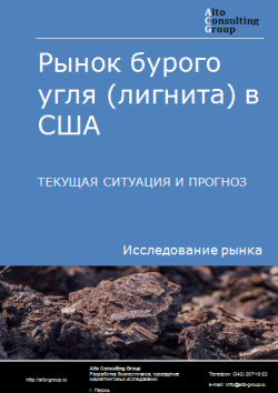 Рынок бурого угля (лигнита) в США. Текущая ситуация и прогноз 2024-2028 гг.