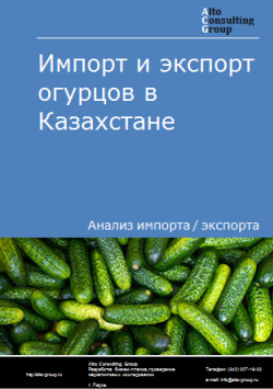 Анализ импорта и экспорта огурцов в Казахстане в 2019-2023 гг.