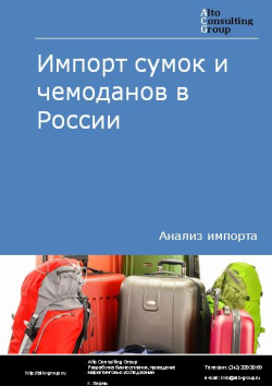 Импорт сумок и чемоданов в России в 2022 г.