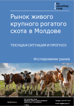Анализ рынка живого крупного рогатого скота в Молдове. Текущая ситуация и прогноз 2024-2028 гг.