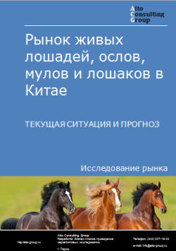 Рынок живых лошадей, ослов и мулов и лошаков в Китае. Текущая ситуация и прогноз 2024-2028 гг.