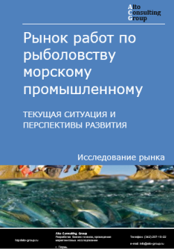 Обложка исследования: Анализ рынка работ по рыболовству морскому промышленному в России. Текущая ситуация и перспективы развития